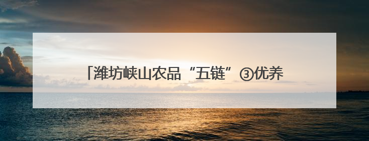 潍坊峡山农品“五链”③优养优产！全链赋能“一只鸡”