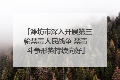 潍坊市深入开展第三轮禁毒人民战争 禁毒斗争形势持续向好