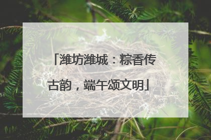 潍坊潍城：粽香传古韵，端午颂文明