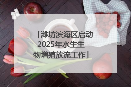 潍坊滨海区启动2025年水生生物增殖放流工作