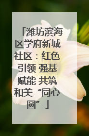 潍坊滨海区学府新城社区：红色引领 强基赋能 共筑和美“同心圆”