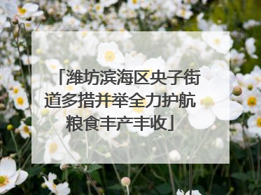潍坊滨海区央子街道多措并举全力护航粮食丰产丰收
