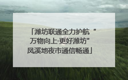 潍坊联通全力护航“万物向上·更好潍坊”凤溪地夜市通信畅通