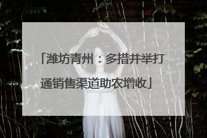 潍坊青州：多措并举打通销售渠道助农增收
