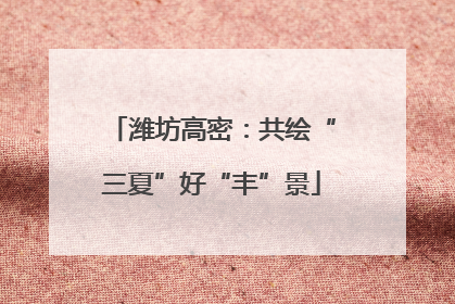 潍坊高密：共绘“三夏”好“丰”景