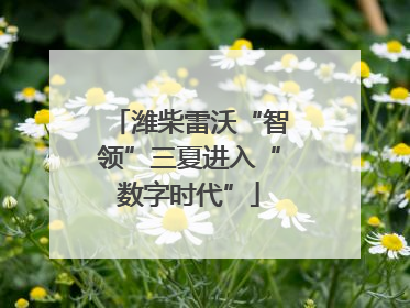 潍柴雷沃“智领”三夏进入“数字时代”