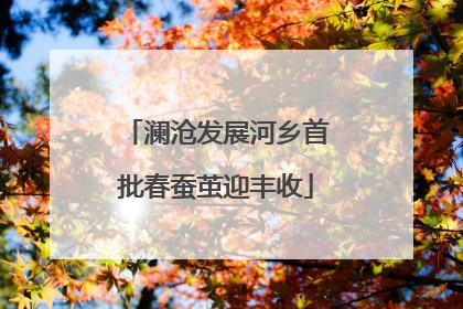 澜沧发展河乡首批春蚕茧迎丰收