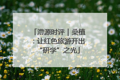 澧源时评｜桑植：让红色旅游开出“研学”之光