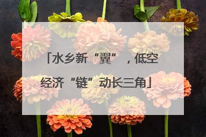 水乡新“翼”，低空经济“链”动长三角