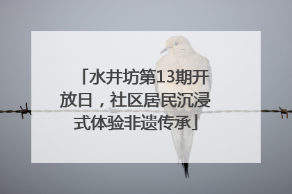 水井坊第13期开放日，社区居民沉浸式体验非遗传承