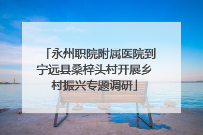 永州职院附属医院到宁远县桑梓头村开展乡村振兴专题调研