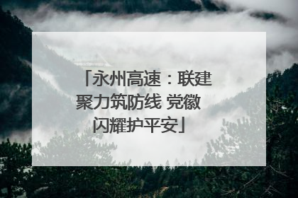 永州高速：联建聚力筑防线 党徽闪耀护平安