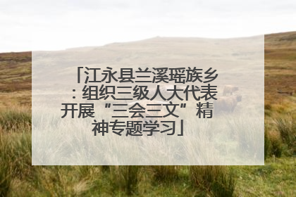 江永县兰溪瑶族乡：组织三级人大代表开展“三会三文”精神专题学习