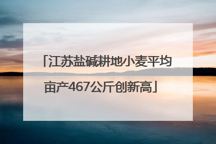 江苏盐碱耕地小麦平均亩产467公斤创新高