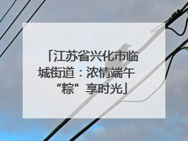 江苏省兴化市临城街道：浓情端午 “粽”享时光