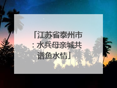 江苏省泰州市：水兵母亲城共谱鱼水情