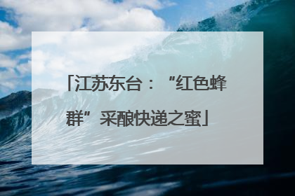 江苏东台：“红色蜂群”采酿快递之蜜