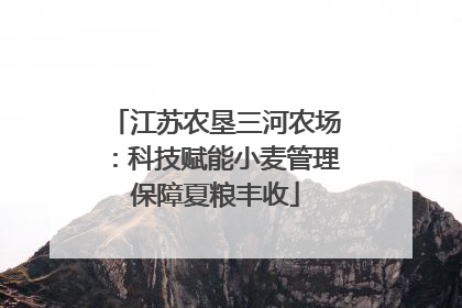 江苏农垦三河农场：科技赋能小麦管理保障夏粮丰收