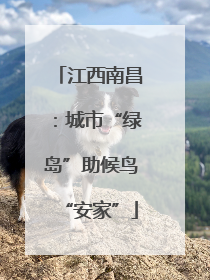 江西南昌：城市“绿岛”助候鸟“安家”