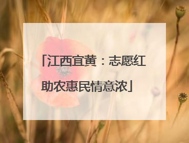 江西宜黄：志愿红助农惠民情意浓