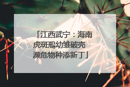 江西武宁：海南虎斑鳽幼雏破壳 濒危物种添新丁