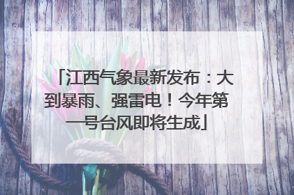 江西气象最新发布：大到暴雨、强雷电！今年第一号台风即将生成