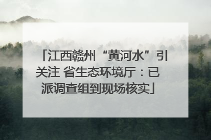 江西赣州“黄河水”引关注 省生态环境厅：已派调查组到现场核实
