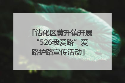 沾化区黄升镇开展“526我爱路”爱路护路宣传活动