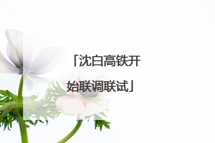 沈白高铁开始联调联试