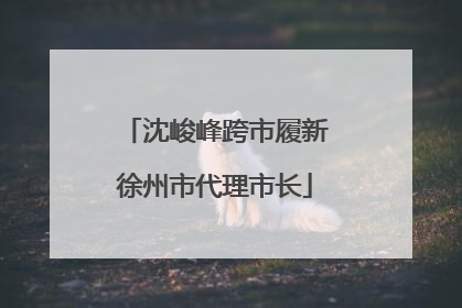 沈峻峰跨市履新徐州市代理市长