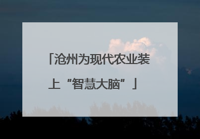 沧州为现代农业装上“智慧大脑”