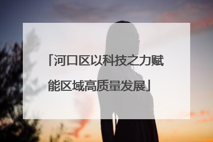 河口区以科技之力赋能区域高质量发展