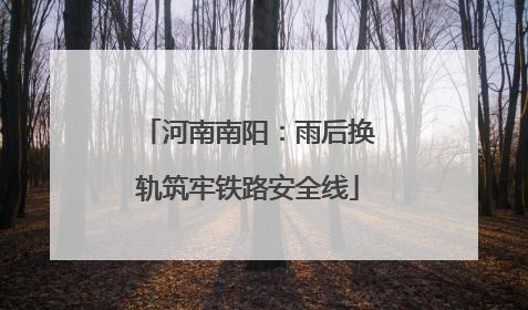 河南南阳：雨后换轨筑牢铁路安全线