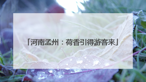 河南孟州：荷香引得游客来