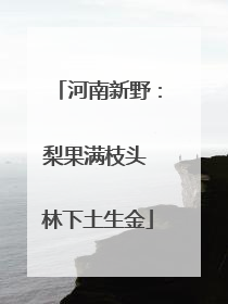 河南新野：梨果满枝头 林下土生金