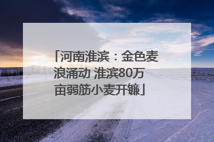 河南淮滨：金色麦浪涌动 淮滨80万亩弱筋小麦开镰