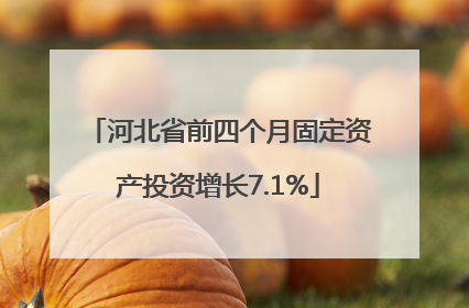 河北省前四个月固定资产投资增长7.1%