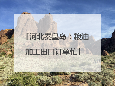 河北秦皇岛：粮油加工出口订单忙