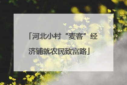 河北小村“麦客”经济铺就农民致富路