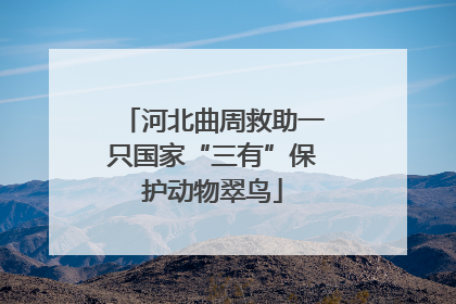 河北曲周救助一只国家“三有”保护动物翠鸟