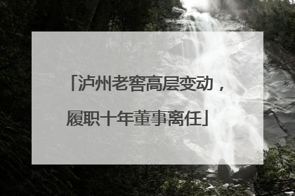 泸州老窖高层变动，履职十年董事离任