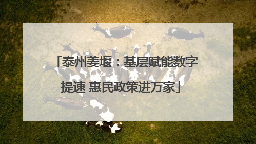 泰州姜堰：基层赋能数字提速 惠民政策进万家