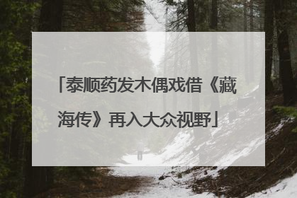 泰顺药发木偶戏借《藏海传》再入大众视野