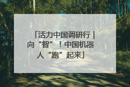 活力中国调研行｜向“智”！中国机器人“跑”起来
