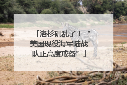 洛杉矶乱了！“美国现役海军陆战队正高度戒备”