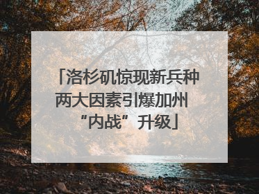 洛杉矶惊现新兵种 两大因素引爆加州“内战”升级