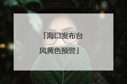 海口发布台风黄色预警