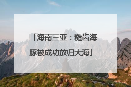 海南三亚：糙齿海豚被成功放归大海