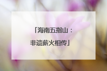海南五指山：非遗薪火相传
