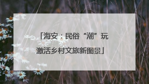 海安：民俗“潮”玩激活乡村文旅新图景